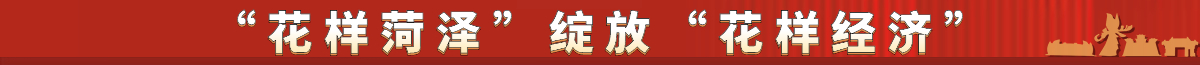 花樣菏澤 綻放 花樣經濟 