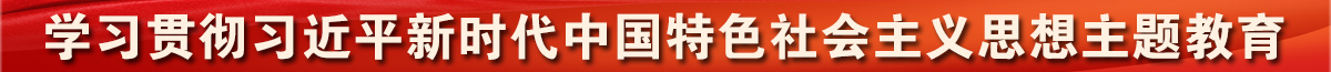 學習貫徹習近平新時代中國特色社會主義思想主題教育