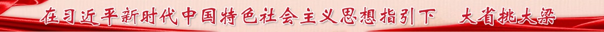 在习近平新时代中国特色社会主义思想指引下  大省挑大梁