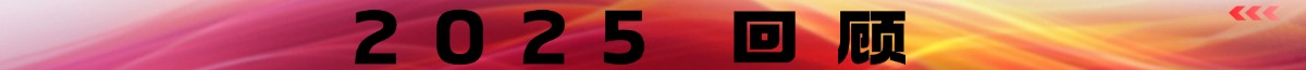 2025回顾