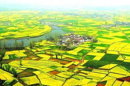 菏泽农村人口_黄河边建 村台 山东菏泽14.7万人脱贫迁建