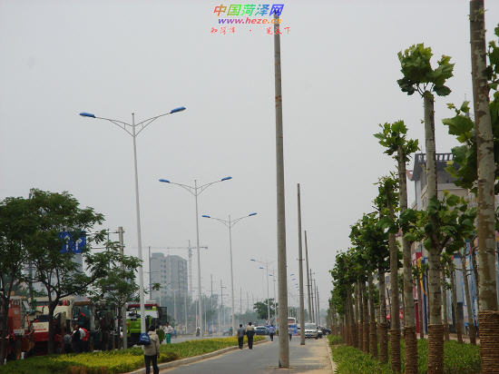 长江路华英路这有空线杆--中国菏泽网