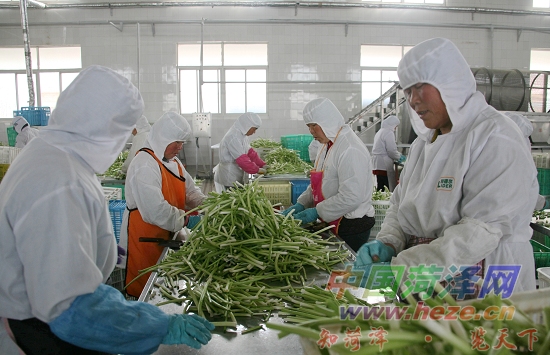 给农副产品加工公司起个名字