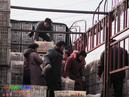 水果价格走低,批发商连呼生意不好做