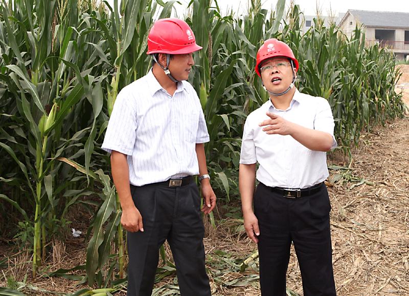 菏泽供电公司总经理周羽、副总经理杨依明到润