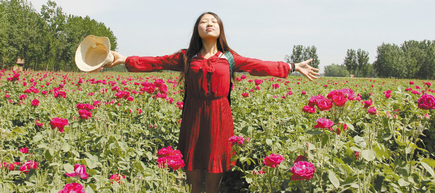 大力发展特色农业,着力提高农民收入