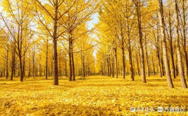 src=http___inews.gtimg.com_newsapp_bt_0_14189674694_641&refer=http___inews.gtimg.jpg src=http___inews.gtimg.com_newsapp_bt_0_14189674694_641&refer=http___inews.gtimg.jpg