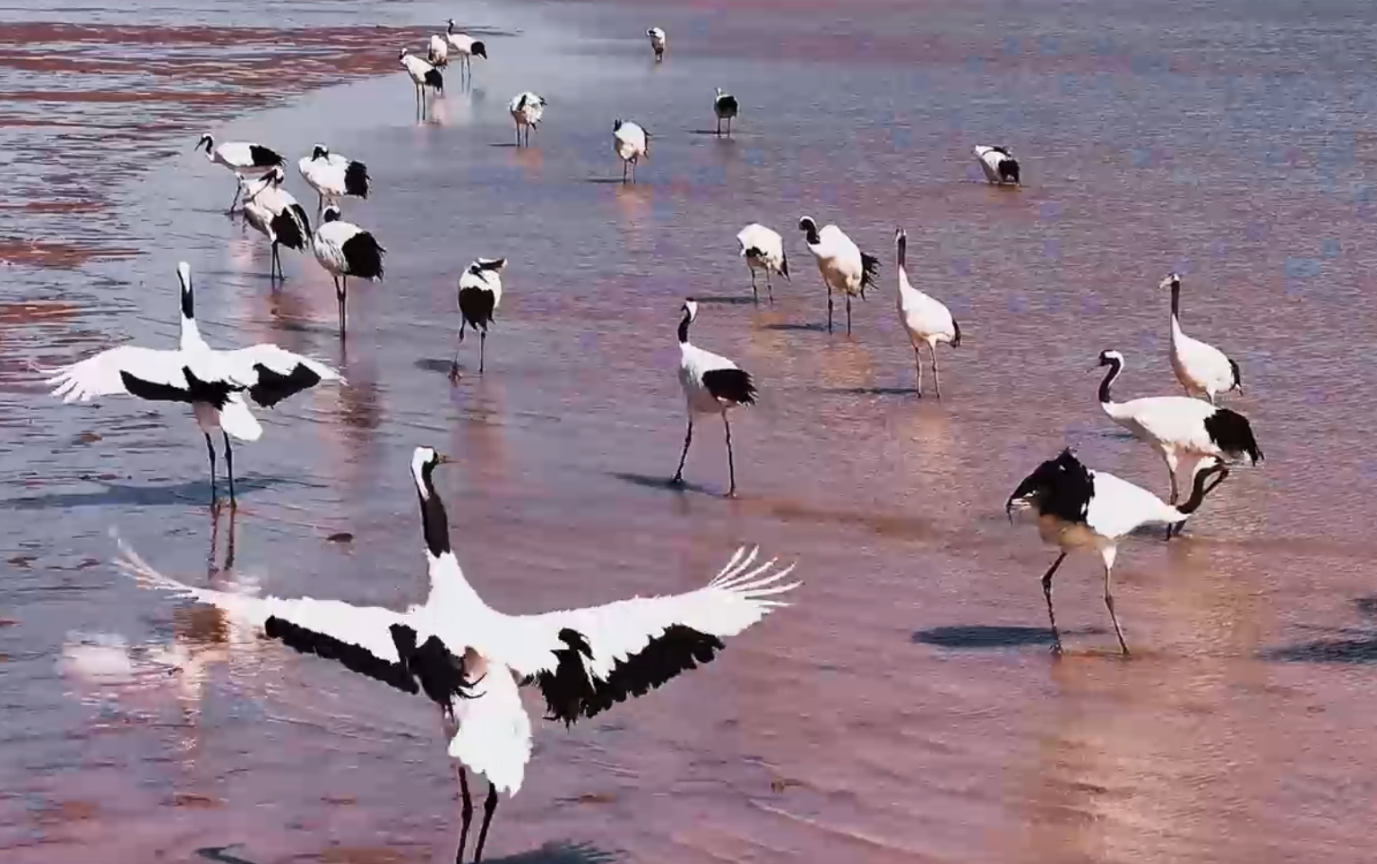 微信图片_20251104170243_247_14