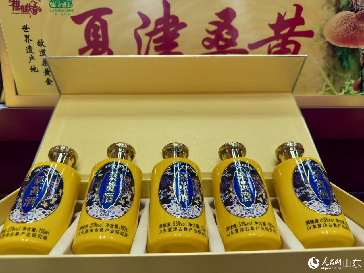 桑黄酒。人民网 郑昕桥摄
