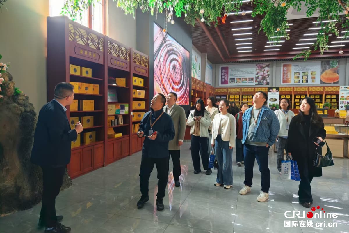 沿着黄河遇见海，感受“幸福河”的魅力与新生