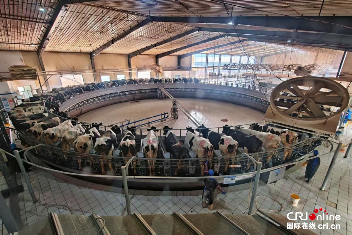 沿着黄河遇见海，感受“幸福河”的魅力与新生