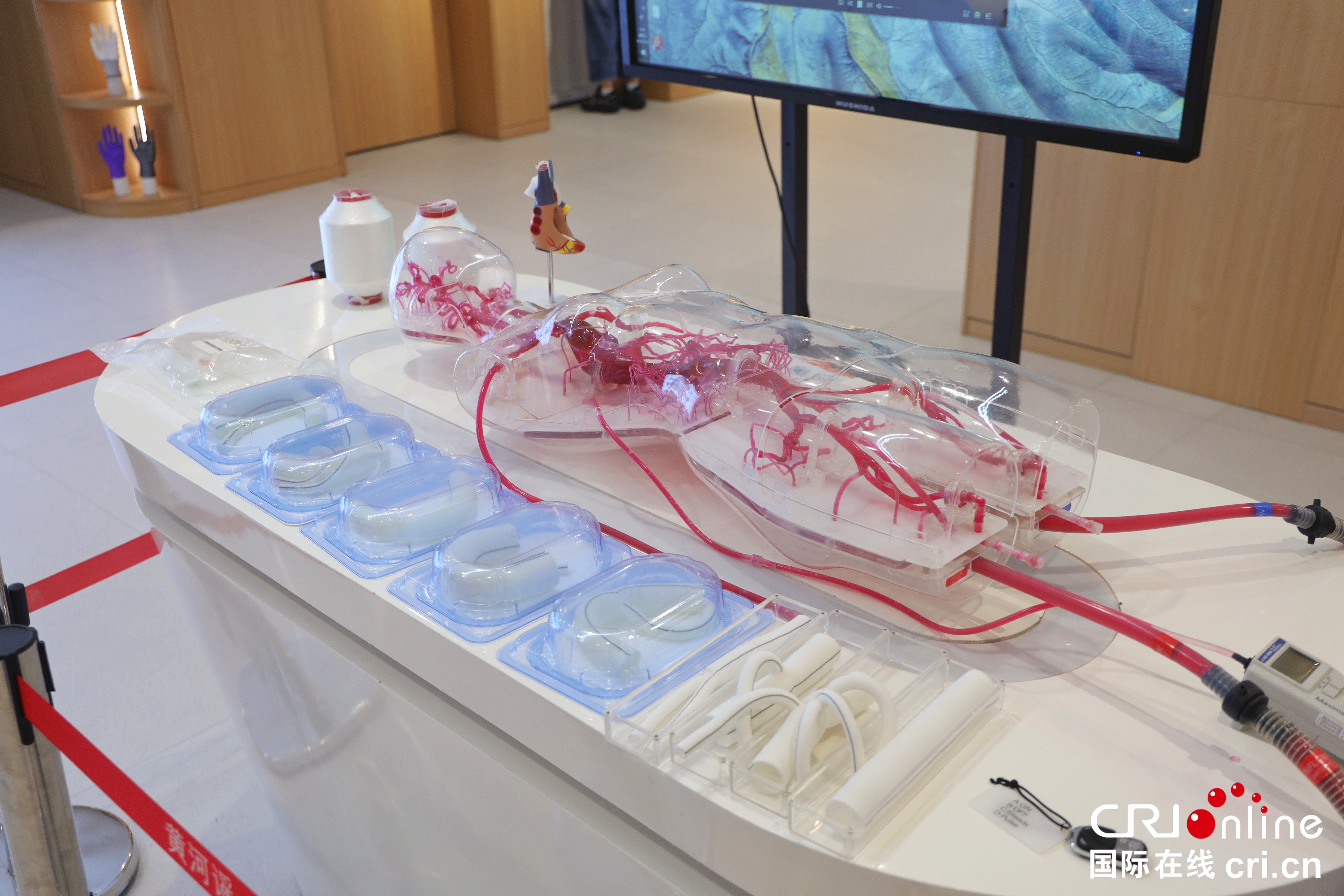 【2026打卡中国】铝韧纱柔 翼展长空 滨州构筑产业新优势 【2026打卡中国】铝韧纱柔 翼展长空 滨州构筑产业新优势