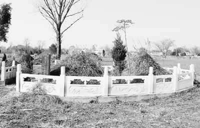 南阳以罚代化交钱可土葬