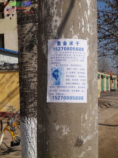 菏泽市区多少人口_菏泽市区图片(3)