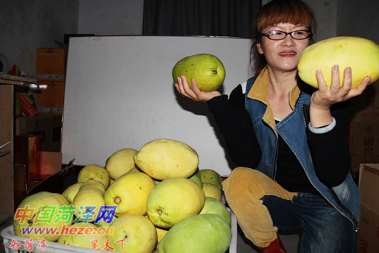 怎么在家种出木瓜 xin_461009160935609165356.jpg