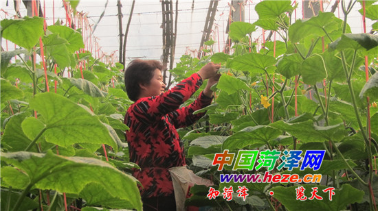 杜堂村人口_绯村剑心真人