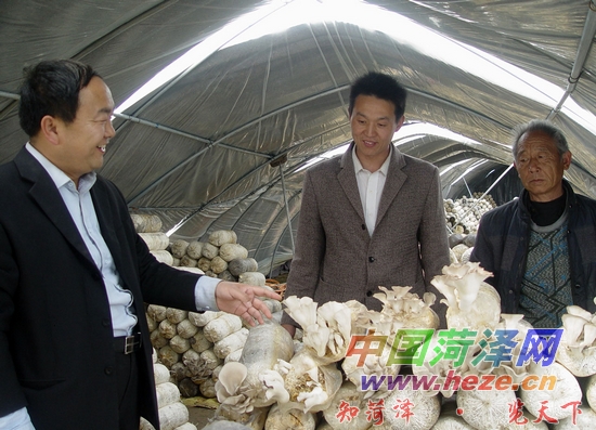 小蘑菇撑起脱贫致富伞