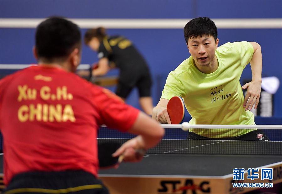 （体育）（1）乒乓球——中国国家乒乓球队在多哈备战