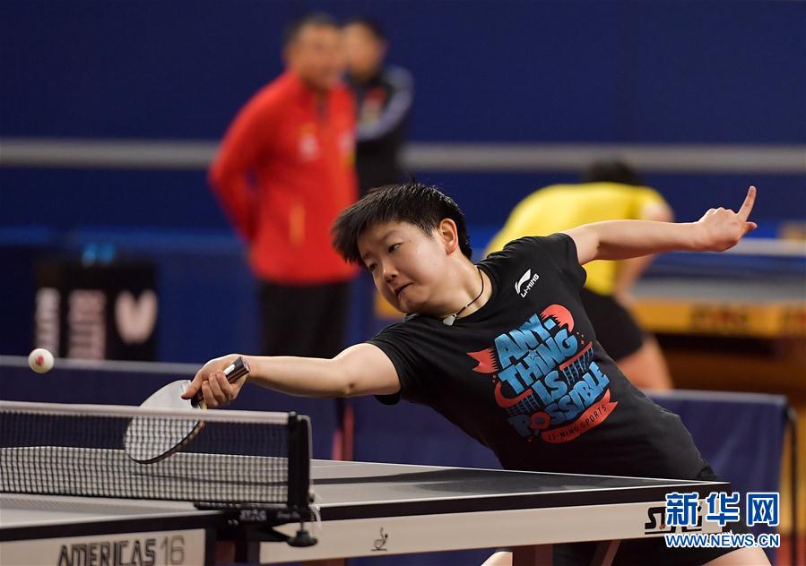 （体育）（9）乒乓球——中国国家乒乓球队在多哈备战