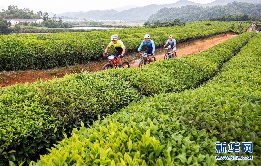 （体育）（4）自行车——珍珠山山地自行车越野挑战赛在江西婺源举行