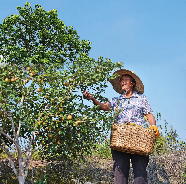 国家开发银行发布2017年年度报告