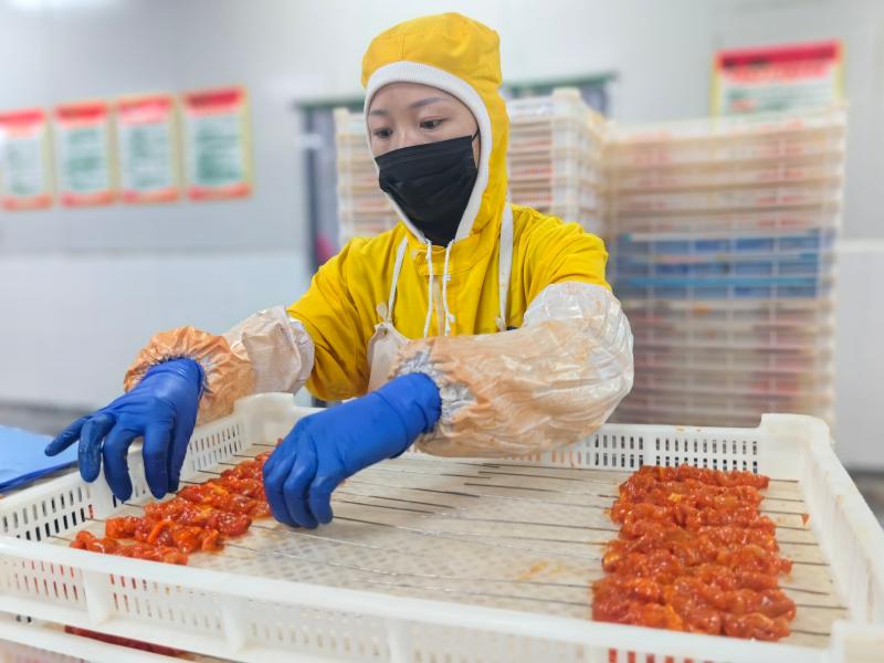 农副产品深加工助力乡村振兴(分离图)91(2464177)-20231108093048.jpg